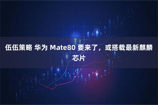 伍伍策略 华为 Mate80 要来了，或搭载最新麒麟芯片